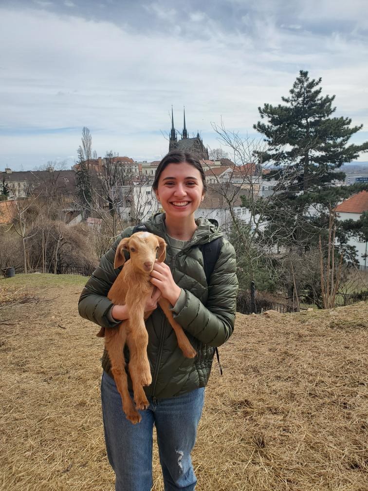 Abby holds baby goat at the castle in Brno