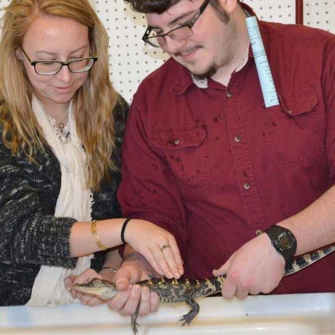 Students hold young alligator