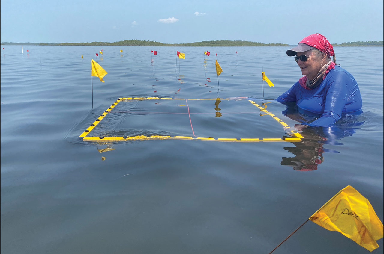 A worker places an excavation grid to mark an area of high-density pottery on the sea floor