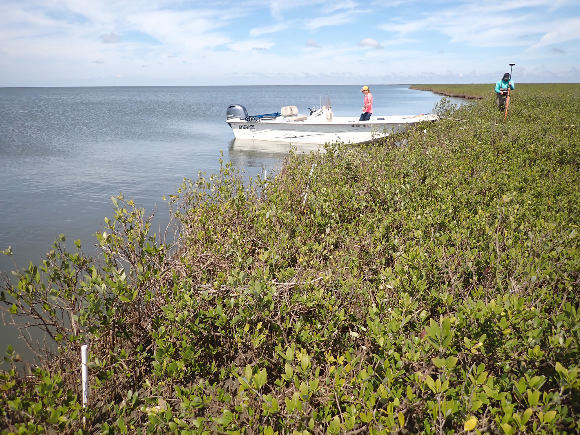 Researchers with boat in Louisiana marsh