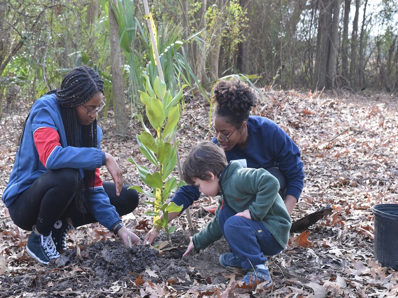 two girls help young boy plant a tree
