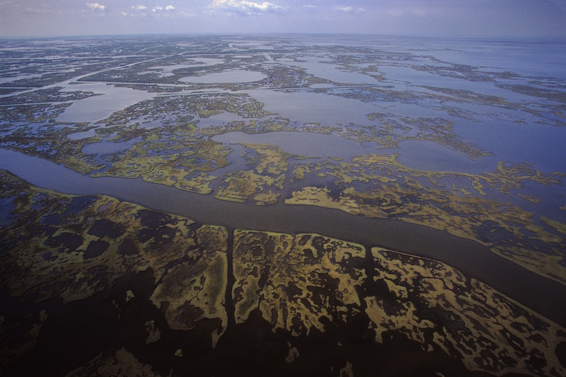 aerial view of a marsh