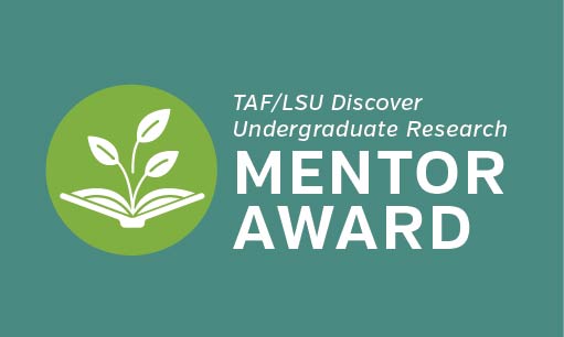 Mentor Awards Logo