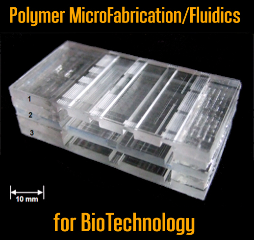 Polymer micro-chip stack (LDR, Mixing, PCR)