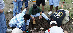 students working in the field
