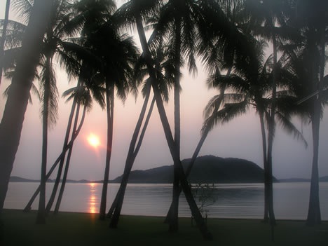 Thailand beach sunset with trees