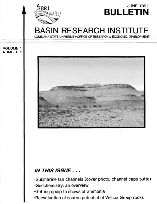 June 1991 - Vol. 1 No. 1 June 1991 - Vol. 1 No. 1