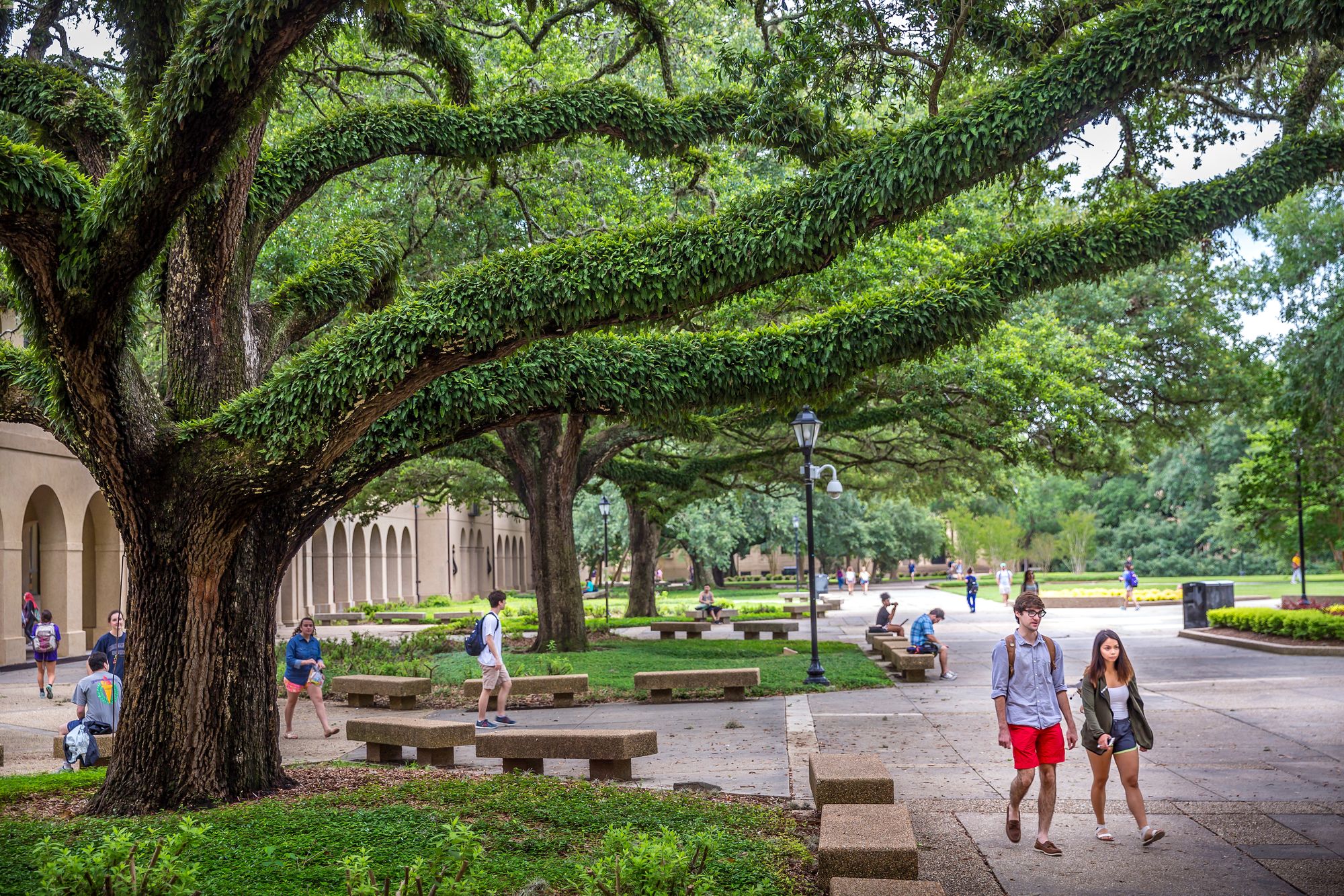first day of summer semester students walk through the quad