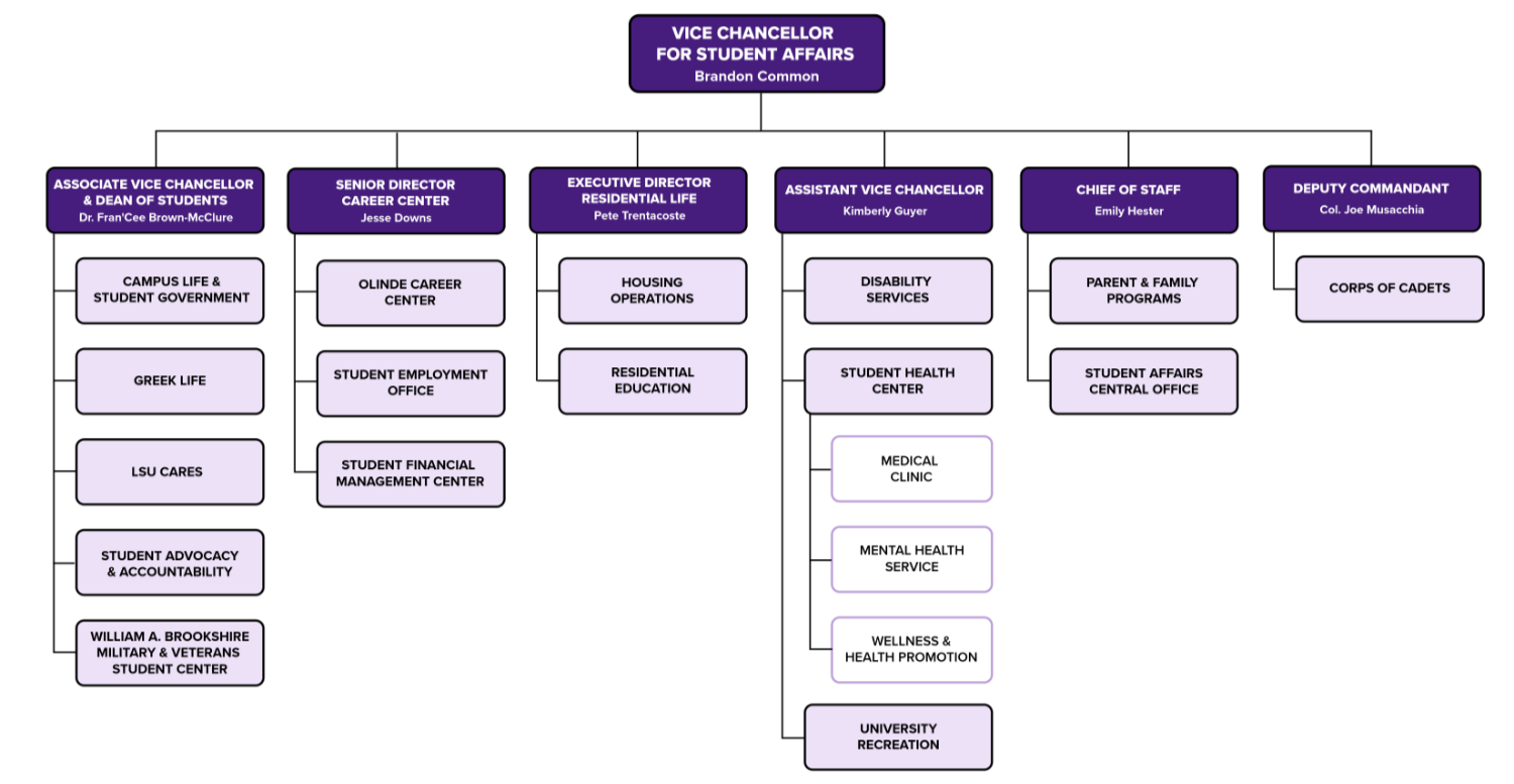image of Division of Student Affairs org chart