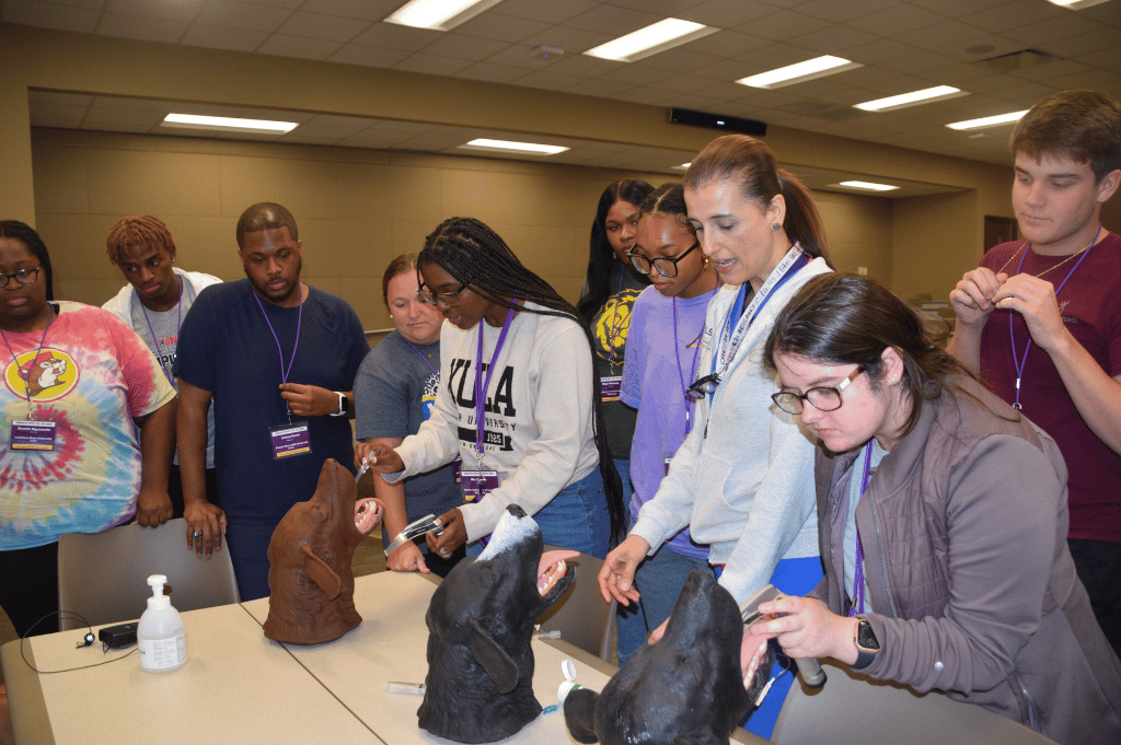 students intubating dog models